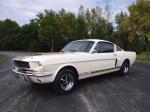 Shelby GT350H 1966 года
